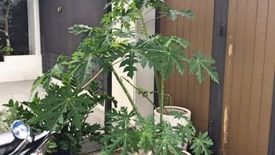 Cho thuê villa 5 phòng ngủ tại Nại Hiên Đông, Quận Sơn Trà, Đà Nẵng