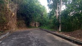 Land for sale in San Roque, Cebu