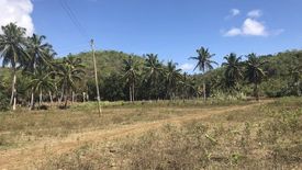 Land for sale in Ampongol, Cebu