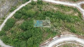 Land for sale in Talamban, Cebu