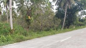 Land for sale in San Isidro, Palawan