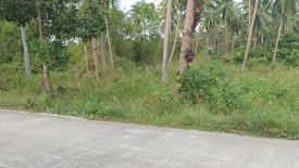 Land for sale in San Isidro, Palawan