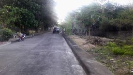 Land for sale in Basak, Cebu