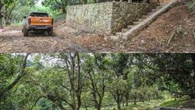 Land for sale in Maugat, Batangas