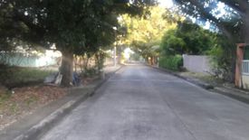 Land for sale in Basak, Cebu