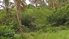 Land for sale in Kabkaban, Cebu
