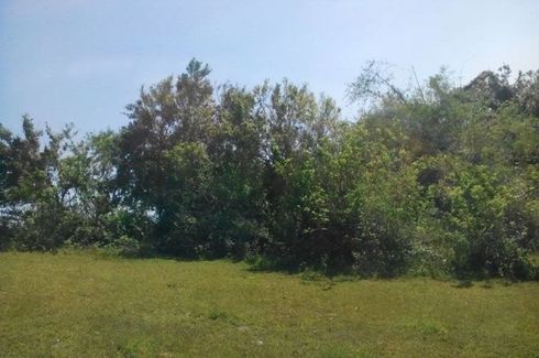 Land for sale in Patac, La Union