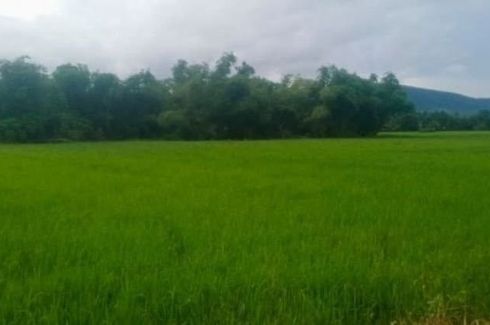 Land for sale in Bacong, Aurora
