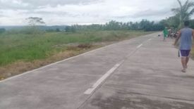 Land for sale in Bacong, Aurora