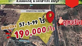 ขายที่ดิน ใน คลองเกตุ, โคกสำโรง