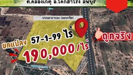 Land for sale in Khlong Ket, Lopburi