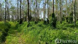 Land for sale in Mai Khao, Phuket