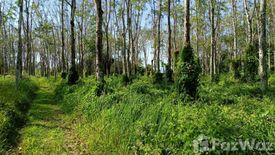 ขายที่ดิน ใน ไม้ขาว, ถลาง