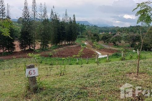 Land for sale in Thung Samo, Phetchabun