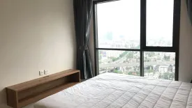 1 Bedroom Condo for rent in Life Sukhumvit 48, Phra Khanong, Bangkok near BTS Phra Khanong