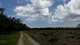 Land for sale in Suan Luang, Nakhon Si Thammarat