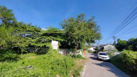 Land for sale in Suthep, Chiang Mai