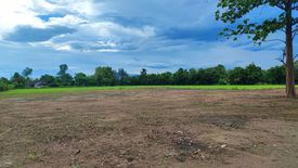 Land for sale in Chom Phu, Chiang Mai