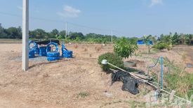 Land for sale in Bueng Ba, Pathum Thani