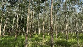 Land for sale in Thai Buri, Nakhon Si Thammarat