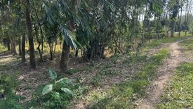 Land for sale in Thai Buri, Nakhon Si Thammarat