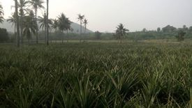 ขายที่ดิน ใน ปากน้ำปราณ, ปราณบุรี