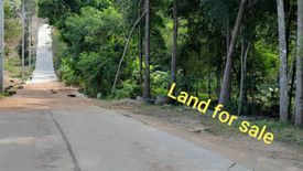 Land for sale in Bo Phut, Surat Thani