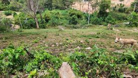 Land for sale in Mae Nam, Surat Thani