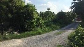 Land for sale in Bang Duan, Bangkok