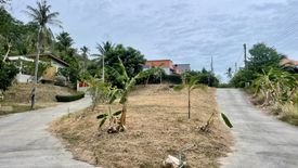 Land for sale in Mae Nam, Surat Thani