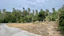 Land for sale in Mae Nam, Surat Thani