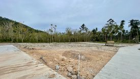 Land for sale in Mae Nam, Surat Thani