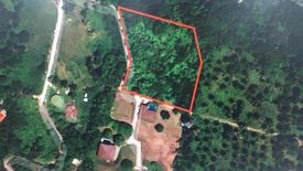 Land for sale in Mae Nam, Surat Thani