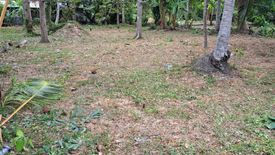 Land for sale in Maret, Surat Thani