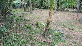 Land for sale in Maret, Surat Thani