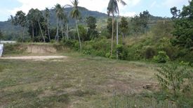 Land for sale in Mae Nam, Surat Thani