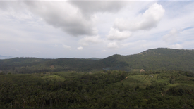 Land for sale in Bo Phut, Surat Thani