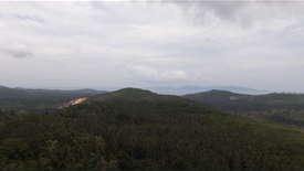 Land for sale in Bo Phut, Surat Thani