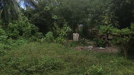 Land for sale in Lipa Noi, Surat Thani