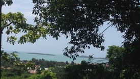 Land for sale in Bo Phut, Surat Thani