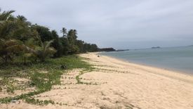 Land for sale in Mae Nam, Surat Thani