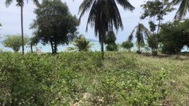 Land for sale in Mae Nam, Surat Thani