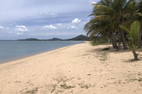 ขายที่ดิน ใน แม่น้ำ, เกาะสมุย