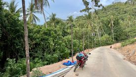 Land for sale in Mae Nam, Surat Thani