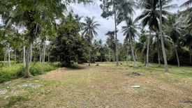 Land for sale in Taling Ngam, Surat Thani