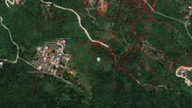 Land for sale in Mae Nam, Surat Thani