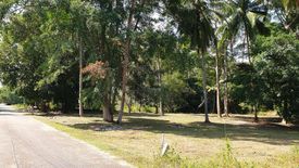 Land for sale in Ang Thong, Surat Thani