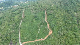 Land for sale in Na Mueang, Surat Thani