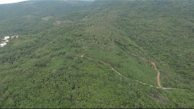 Land for sale in Na Mueang, Surat Thani