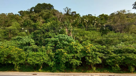 Land for sale in Mae Nam, Surat Thani